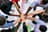 Capacity Building